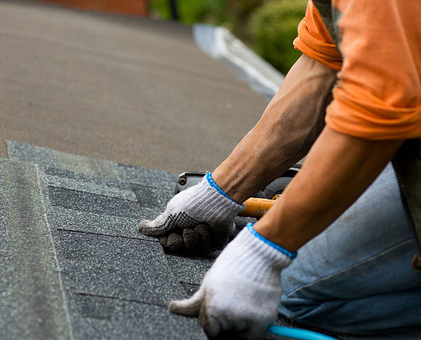 Best Roof Gutter Cleaning  in Crowley Lake, CA